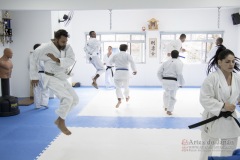 Curso Shiai Kumite e Reigi Saho