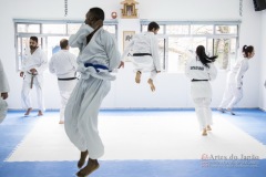 Curso Shiai Kumite e Reigi Saho