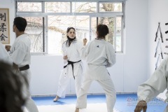 Curso Shiai Kumite e Reigi Saho