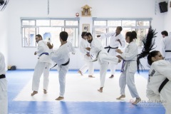 Curso Shiai Kumite e Reigi Saho