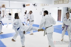 Curso Shiai Kumite e Reigi Saho