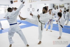 Curso Shiai Kumite e Reigi Saho