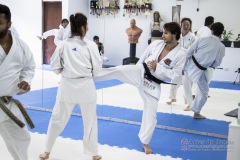 Curso Shiai Kumite e Reigi Saho