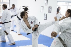 Curso Shiai Kumite e Reigi Saho