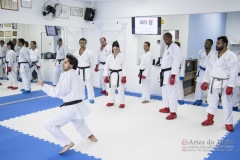 Curso Shiai Kumite e Reigi Saho