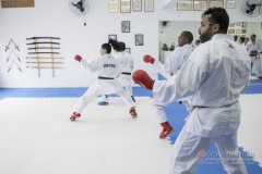 Curso Shiai Kumite e Reigi Saho