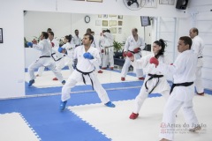 Curso Shiai Kumite e Reigi Saho