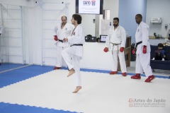 Curso Shiai Kumite e Reigi Saho