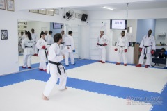 Curso Shiai Kumite e Reigi Saho