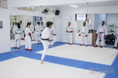 Curso Shiai Kumite e Reigi Saho