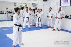 Curso Shiai Kumite e Reigi Saho