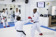 Curso Shiai Kumite e Reigi Saho