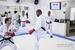 Curso Shiai Kumite e Reigi Saho