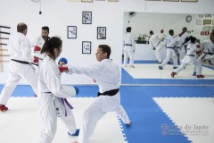 Curso Shiai Kumite e Reigi Saho