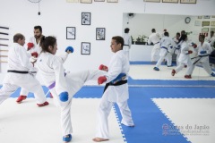 Curso Shiai Kumite e Reigi Saho