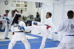 Curso Shiai Kumite e Reigi Saho