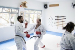 Curso Shiai Kumite e Reigi Saho