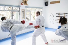 Curso Shiai Kumite e Reigi Saho