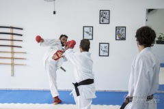 Curso Shiai Kumite e Reigi Saho