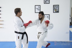 Curso Shiai Kumite e Reigi Saho