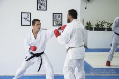 Curso Shiai Kumite e Reigi Saho