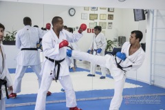 Curso Shiai Kumite e Reigi Saho