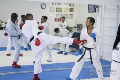 Curso Shiai Kumite e Reigi Saho