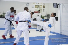 Curso Shiai Kumite e Reigi Saho