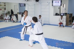 Curso Shiai Kumite e Reigi Saho