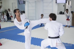 Curso Shiai Kumite e Reigi Saho