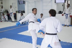 Curso Shiai Kumite e Reigi Saho