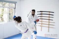 Curso Shiai Kumite e Reigi Saho