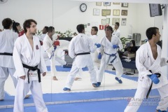 Curso Shiai Kumite e Reigi Saho