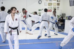 Curso Shiai Kumite e Reigi Saho