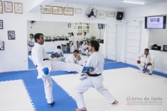 Curso Shiai Kumite e Reigi Saho