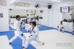 Curso Shiai Kumite e Reigi Saho