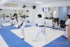 Curso Shiai Kumite e Reigi Saho