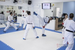 Curso Shiai Kumite e Reigi Saho