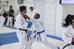 Curso Shiai Kumite e Reigi Saho