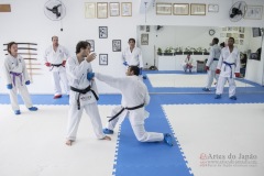 Curso Shiai Kumite e Reigi Saho