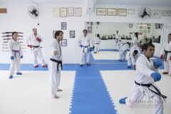 Curso Shiai Kumite e Reigi Saho