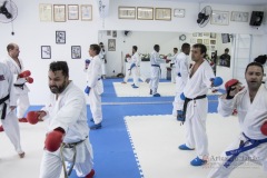 Curso Shiai Kumite e Reigi Saho