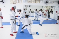 Curso Shiai Kumite e Reigi Saho