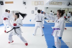 Curso Shiai Kumite e Reigi Saho