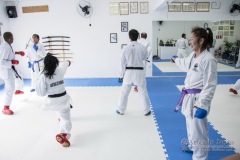 Curso Shiai Kumite e Reigi Saho