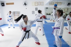 Curso Shiai Kumite e Reigi Saho