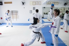 Curso Shiai Kumite e Reigi Saho