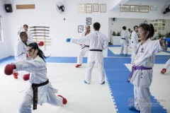 Curso Shiai Kumite e Reigi Saho