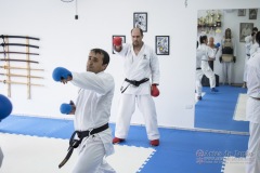 Curso Shiai Kumite e Reigi Saho