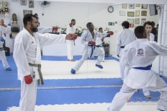 Curso Shiai Kumite e Reigi Saho